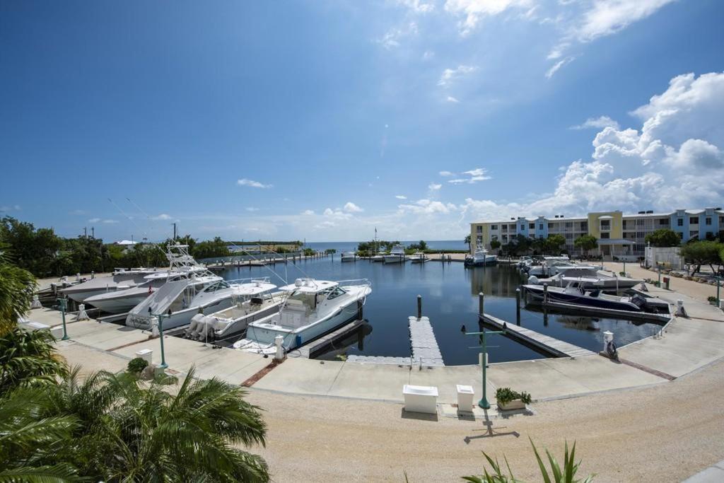 Licensed Mgr - Luxury Vip Penthouse Suite - Offers Resorts Best Panoramic Ocean Views! Key Largo Eksteriør billede
